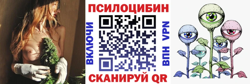 Галлюциногенные грибы Cubensis Камызяк