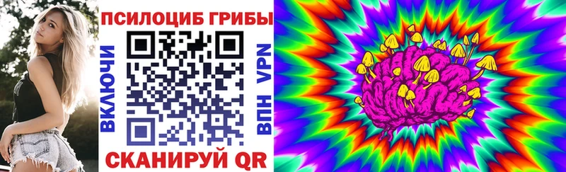 Галлюциногенные грибы Psilocybe  блэк спрут зеркало  дарк нет Telegram  магазин продажи наркотиков  Камызяк 